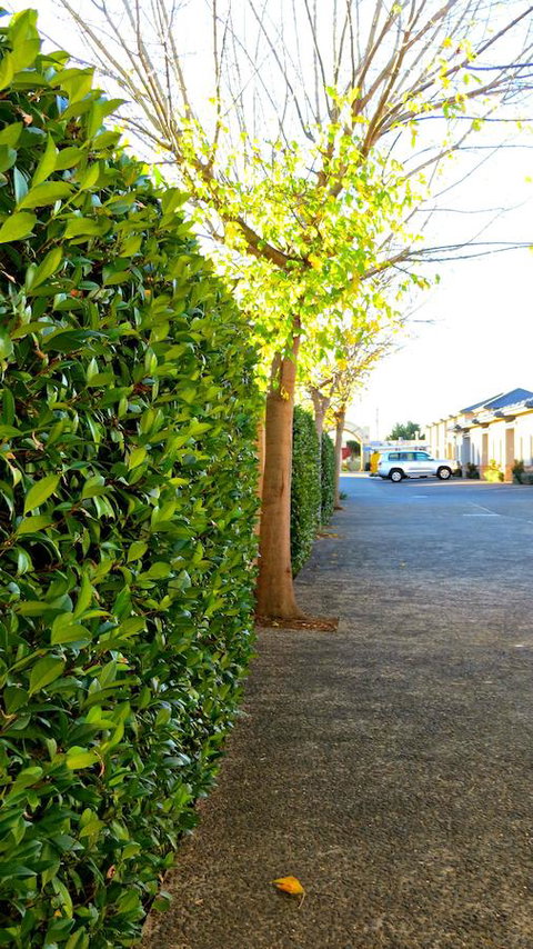 Best Western Plus Goulburn - Hervey Bay Accommodation 37