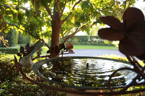 Peppers The Hills Lodge - Hervey Bay Accommodation 30