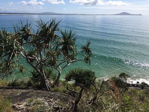 Hat Head Beach Cottage 1 - Hervey Bay Accommodation 23