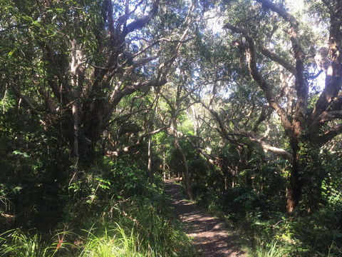 Hat Head Beach Cottage 1 - Hervey Bay Accommodation 24