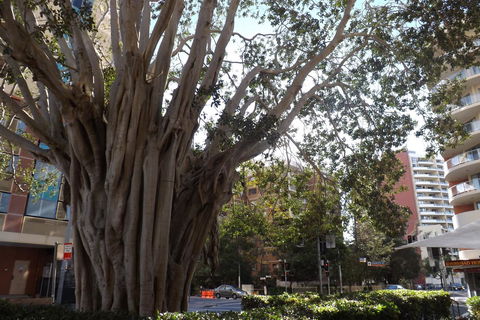 Fiori Apartments - Hervey Bay Accommodation 29