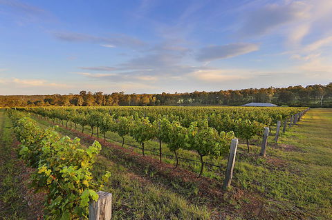 Ironstone Estate Lovedale - Hervey Bay Accommodation 31