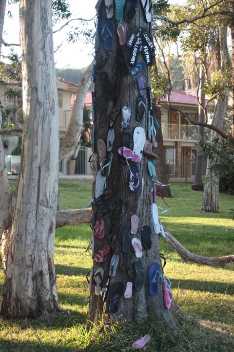 Ambience - Hervey Bay Accommodation 33