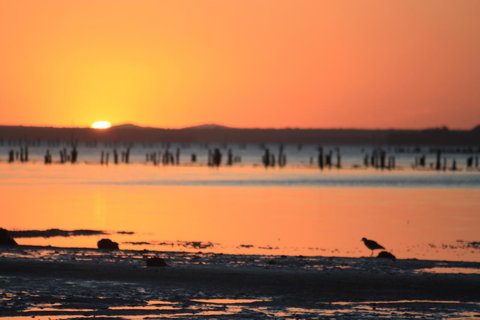 Ambience - Hervey Bay Accommodation 35