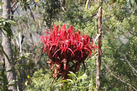 Ambience - Hervey Bay Accommodation 30