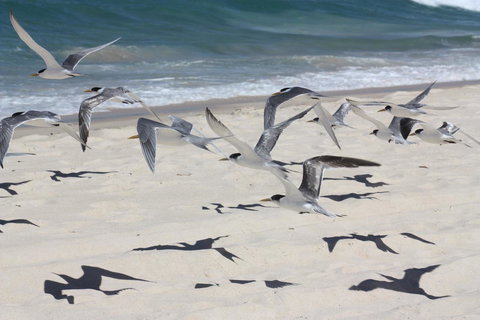 Ambience - Hervey Bay Accommodation 32