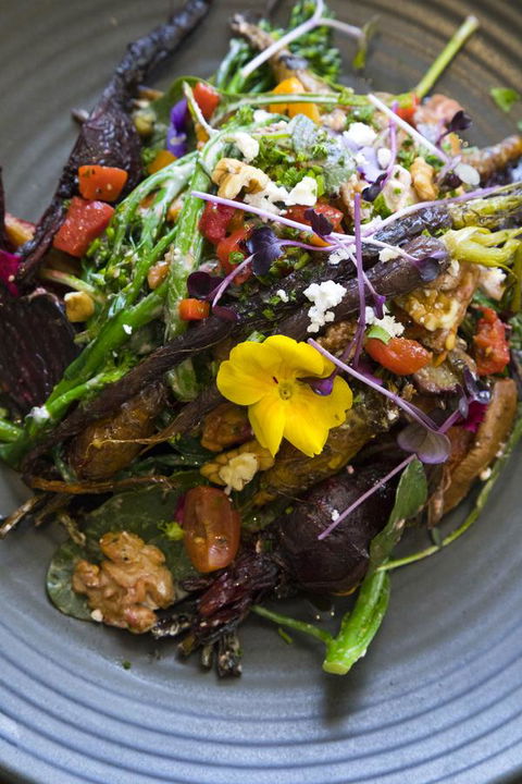 Sage Hotel Wollongong - Hervey Bay Accommodation 21