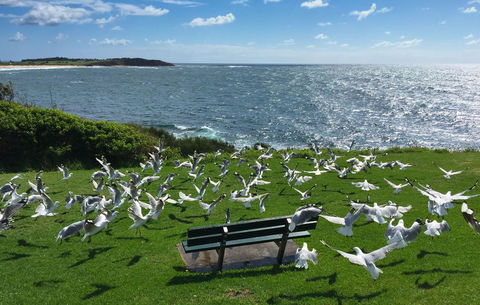 Waterview Beach Apartment - Tourism Hervey Bay 25