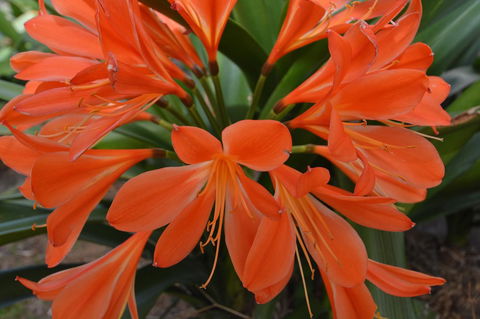 JE Guesthouse, Central To All The Hunter Valley Has To Offer - Hervey Bay Accommodation 39