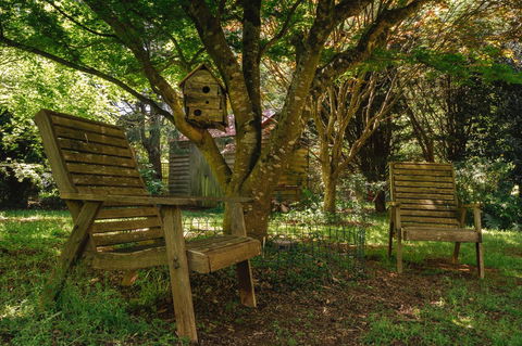 Lark Cottage - Tourism Hervey Bay 28