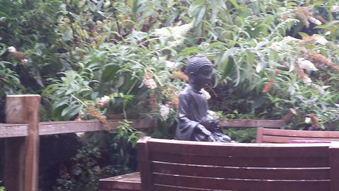 Lark Cottage - Tourism Hervey Bay 19