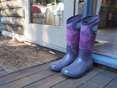 Lark Cottage - Tourism Hervey Bay 8