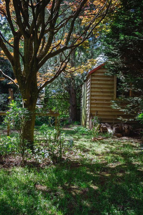 Lark Cottage - Tourism Hervey Bay 31