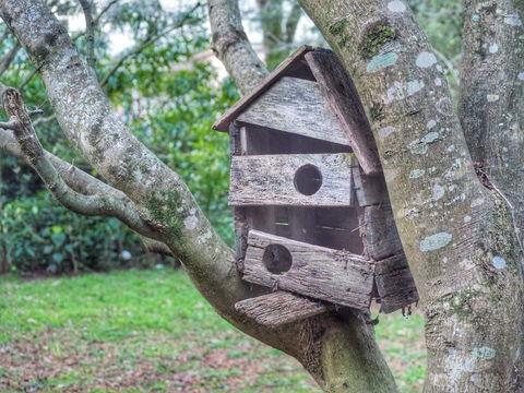 Lark Cottage - Tourism Hervey Bay 3