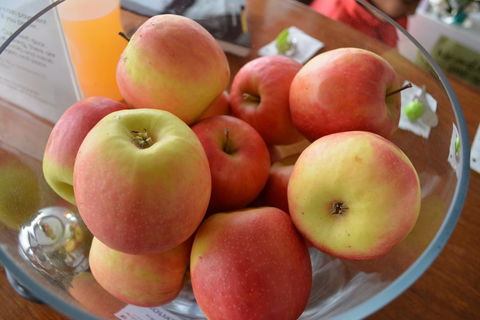The Apple Inn - Hervey Bay Accommodation 12