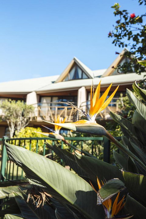 Beach Hotel Resort - Hervey Bay Accommodation 36