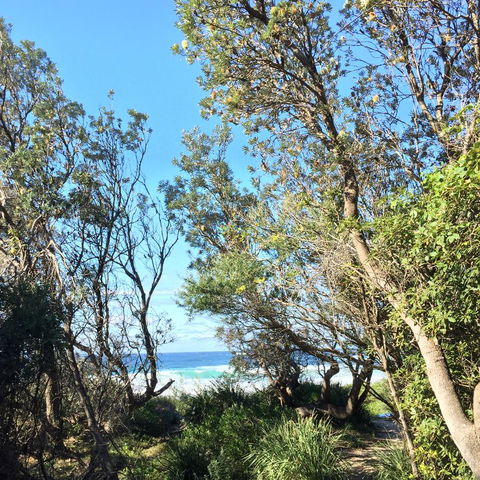 Salthouse Berrara - Tourism Hervey Bay 22