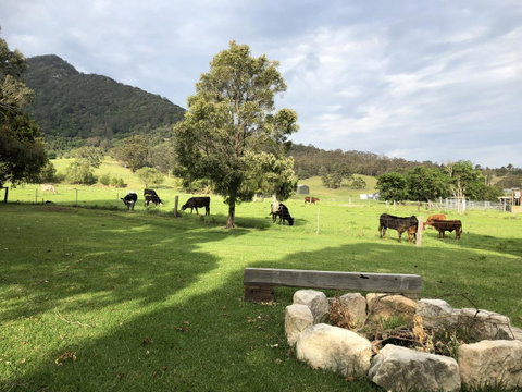 Arcadia - The Barn Cottage & Rosehill Cottage - Tourism Hervey Bay 29