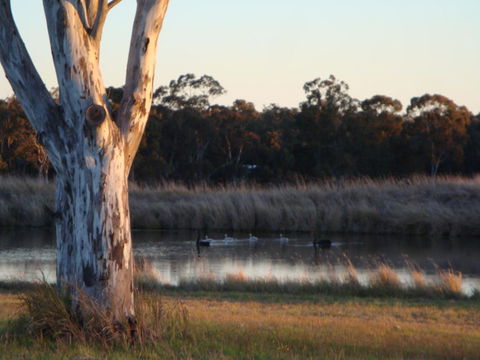 Adina Vineyard - Hervey Bay Accommodation 10