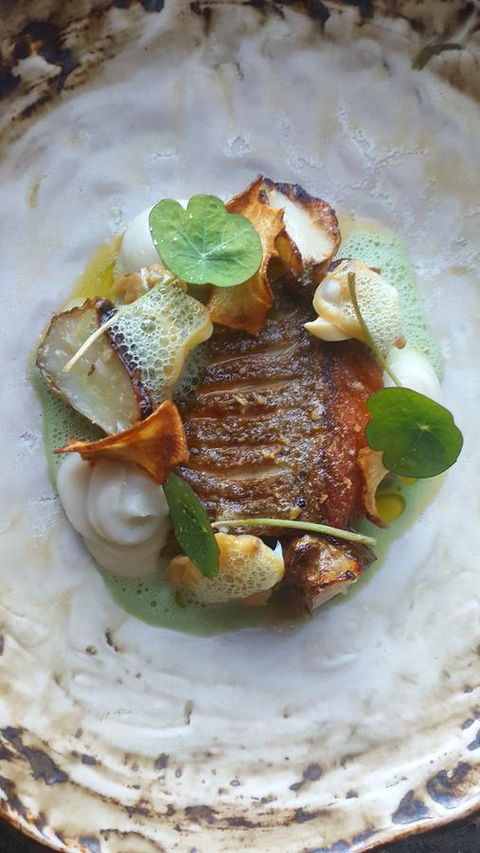 Adina Vineyard - Hervey Bay Accommodation 3