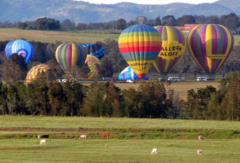 Adina Vineyard - Hervey Bay Accommodation 9