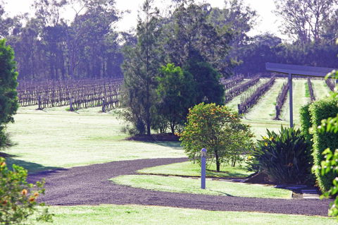 Adina Vineyard - Hervey Bay Accommodation 14