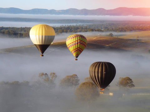 Adina Vineyard - Hervey Bay Accommodation 21