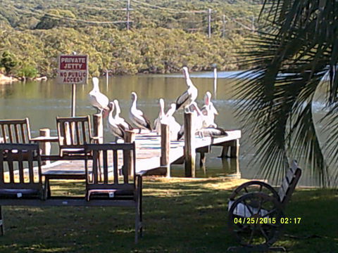 Pelican H2O One & Two Bedroom Apartments - Tourism Hervey Bay 9
