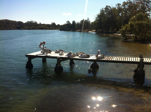 Pelican H2O One & Two Bedroom Apartments - Tourism Hervey Bay 5
