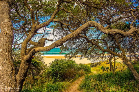 Valla's Beach House - Tourism Hervey Bay 2