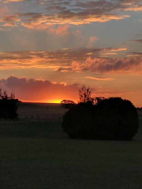 Madigan Wine Country Cottages - Hervey Bay Accommodation 13