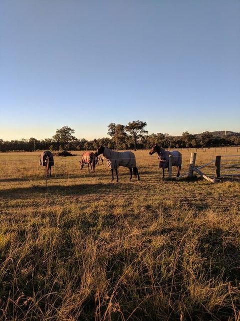 Madigan Wine Country Cottages - Hervey Bay Accommodation 8