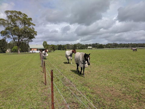 Madigan Wine Country Cottages - Hervey Bay Accommodation 9