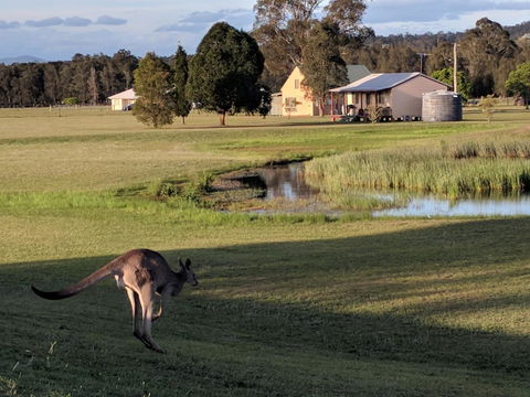 Madigan Wine Country Cottages - Hervey Bay Accommodation 6