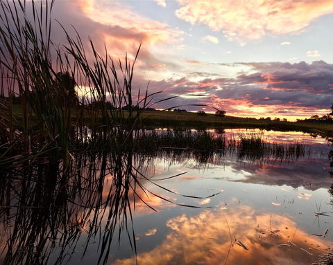 Madigan Wine Country Cottages - Hervey Bay Accommodation 16