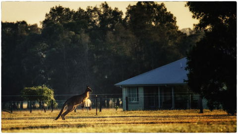 Madigan Wine Country Cottages - Hervey Bay Accommodation 5