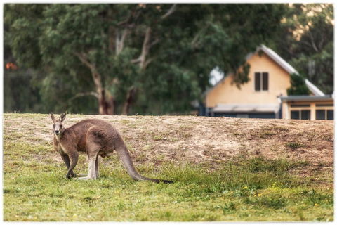 Madigan Wine Country Cottages - Hervey Bay Accommodation 4