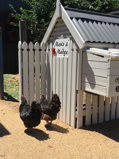 Thelma's Temora - Hervey Bay Accommodation 12