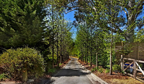 Bundanoon Lodge - Tourism Hervey Bay 21