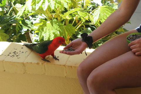 Bundanoon Lodge - Tourism Hervey Bay 4