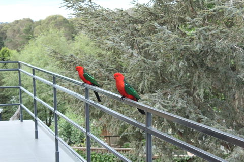 Bundanoon Lodge - Tourism Hervey Bay 7
