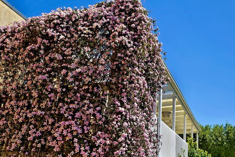 Bundanoon Lodge - Tourism Hervey Bay 13