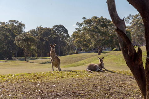 Horizons Retreat & Golf, Villa 133 - Tourism Hervey Bay 18