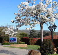 Hume Country Motor Inn - Hervey Bay Accommodation