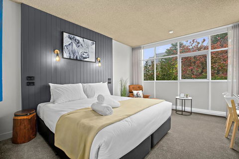 City Centre Motel Armidale - Tourism Hervey Bay 8