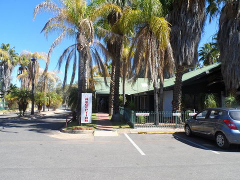 Desert Palms Alice Springs - Tourism Hervey Bay 22