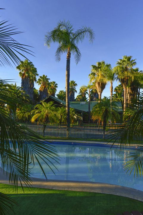 Desert Palms Alice Springs - Tourism Hervey Bay 29