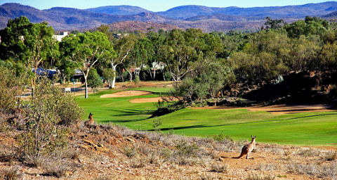 Desert Palms Alice Springs - Tourism Hervey Bay 30