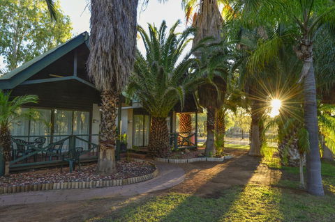 Desert Palms Alice Springs - Tourism Hervey Bay 12