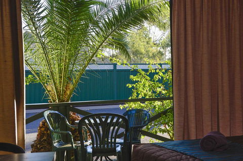 Desert Palms Alice Springs - Tourism Hervey Bay 4